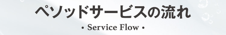 ペソッドサービスの流れ