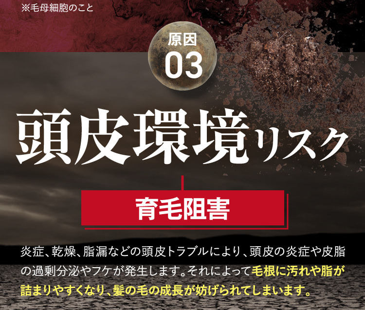 原因03 頭皮環境リスク 発毛阻害