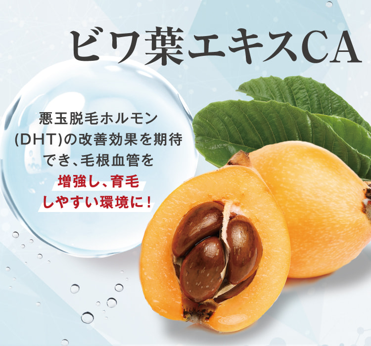 ビワ葉エキスCA 悪玉脱毛ホルモン(DHT)の改善効果を期待でき、毛根血管を増強し、育毛しやすい環境に!
