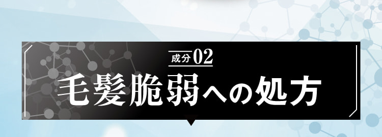 成分02 毛髪脆弱への処方