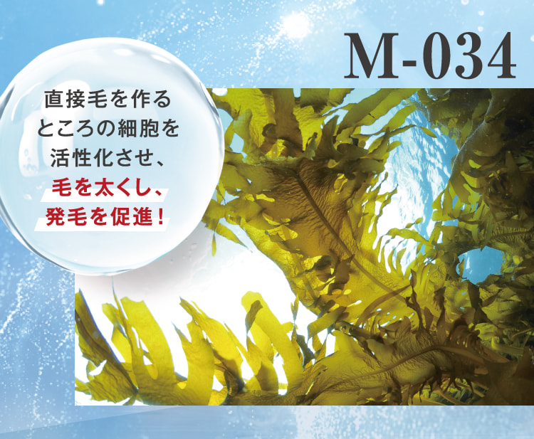 M-034 直接毛を作るところの細胞を活性化させ、毛を太くし、発毛を促進!