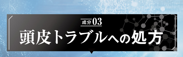 成分03 頭皮トラブルへの処方