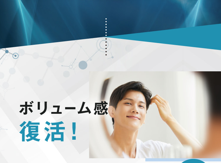 ボリューム感復活