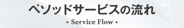 ペソッドサービスの流れ