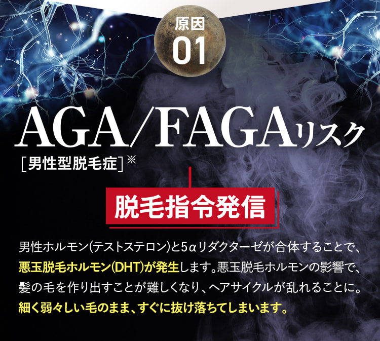 原因01 AGAリスク 脱毛指令発信