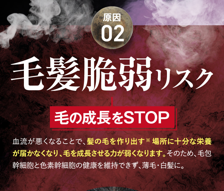 原因02 毛髪脆弱リスク 毛の成長をSTOP
