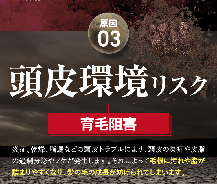原因03 頭皮環境リスク 発毛阻害