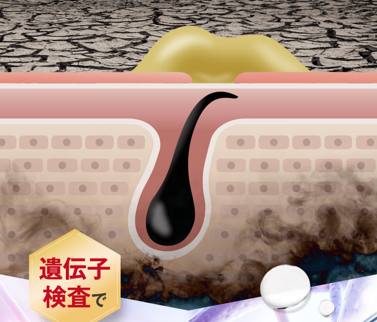 遺伝子検査で