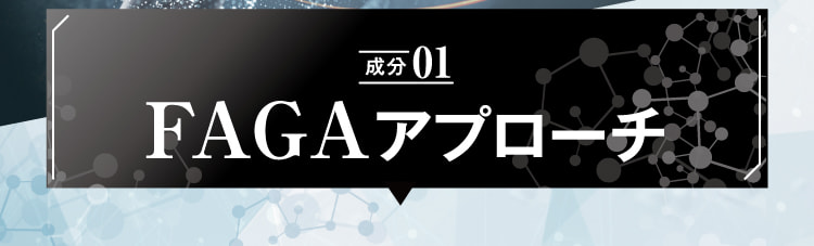 成分01 AGAへの処方