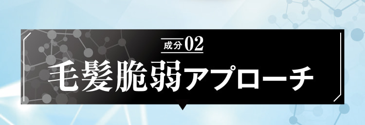 成分02 毛髪脆弱への処方