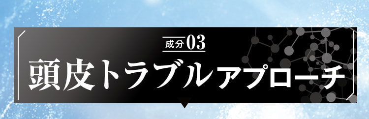 成分03 頭皮トラブルへの処方