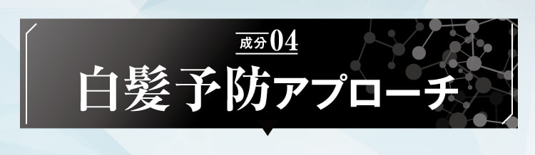 成分04 白髪予防アプローチ