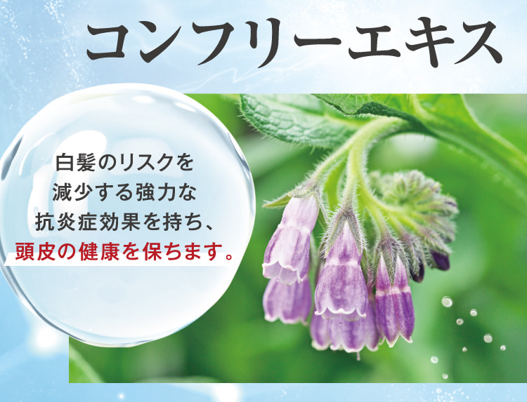 コンフリーエキス 白髪リスク減少抗炎症効果