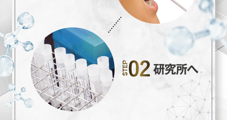 STEP02 研究所へ