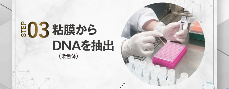 STEP03 粘膜からDNAを抽出