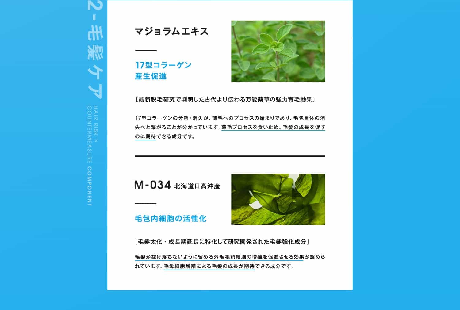 2-毛髪ケア