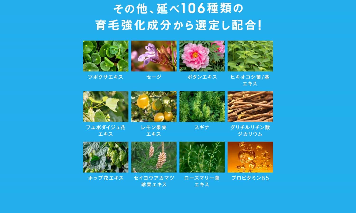 その他、延べ106種類の育毛強化成分から選定し配合！