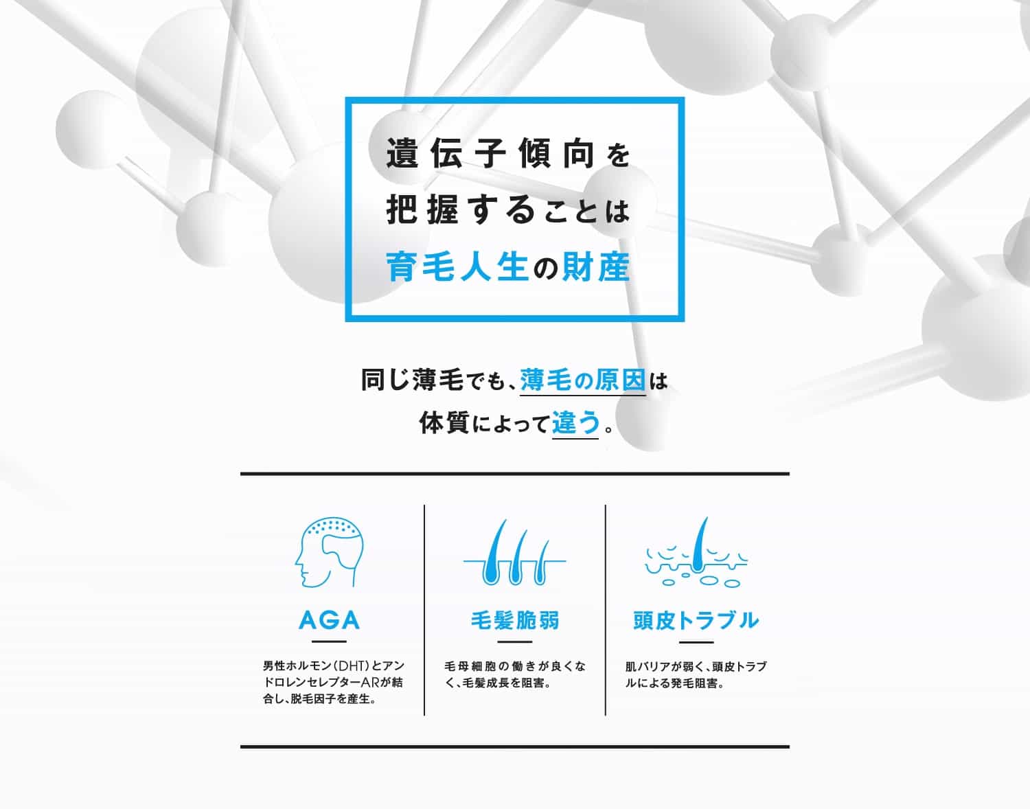 遺伝子傾向を把握することは育毛人生の財産