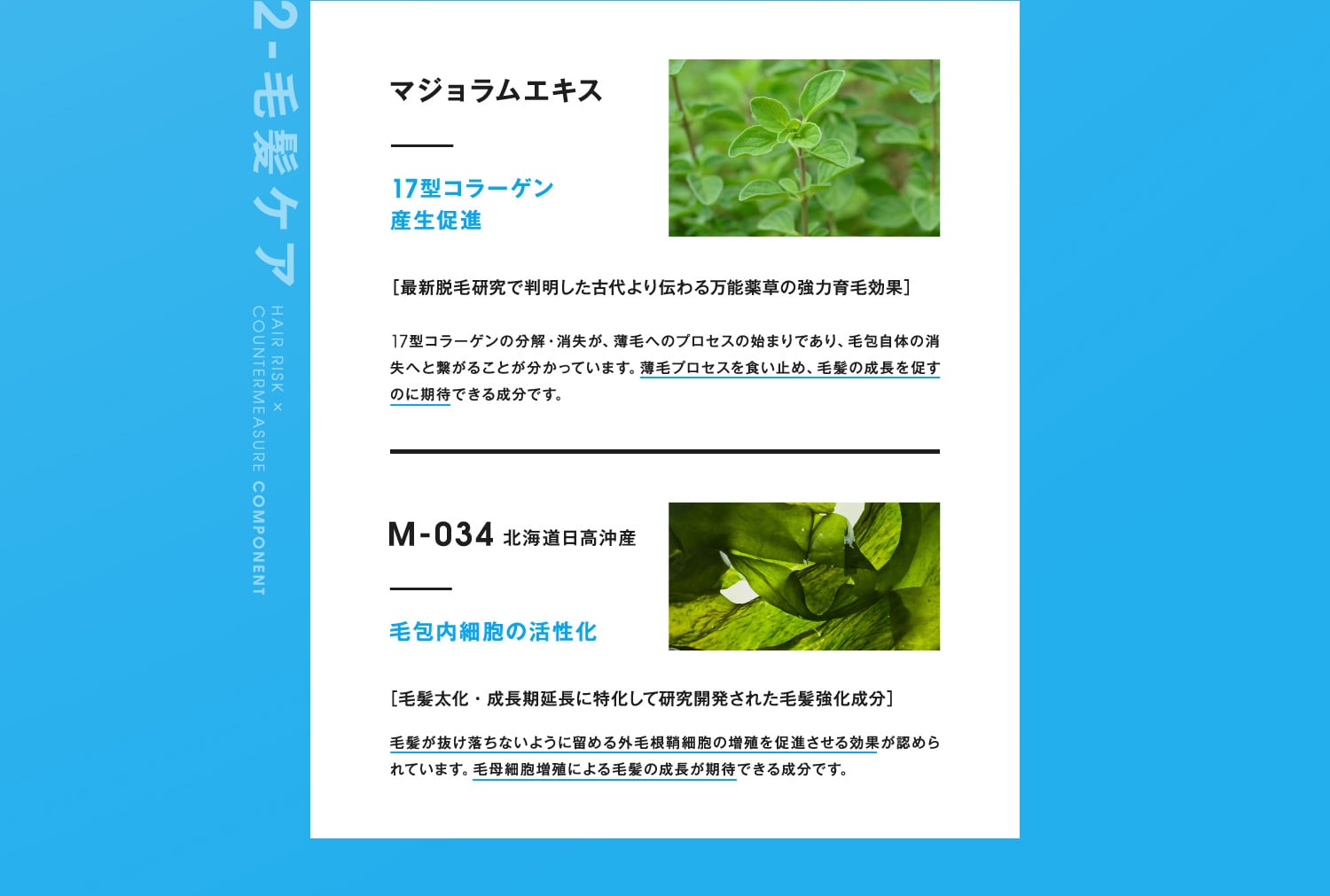 2-毛髪ケア
