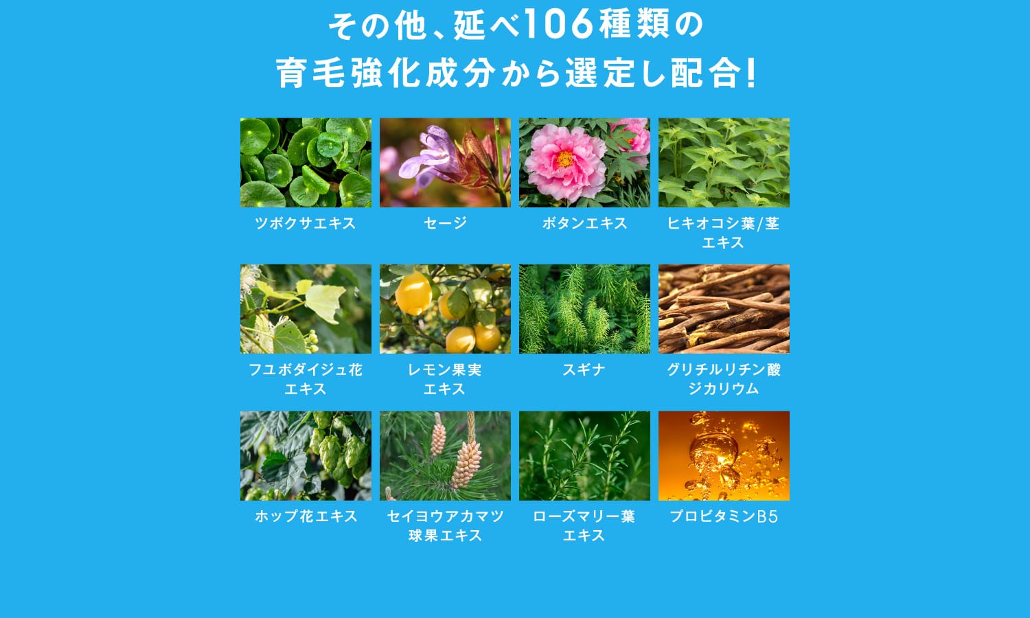その他、延べ106種類の育毛強化成分から選定し配合!