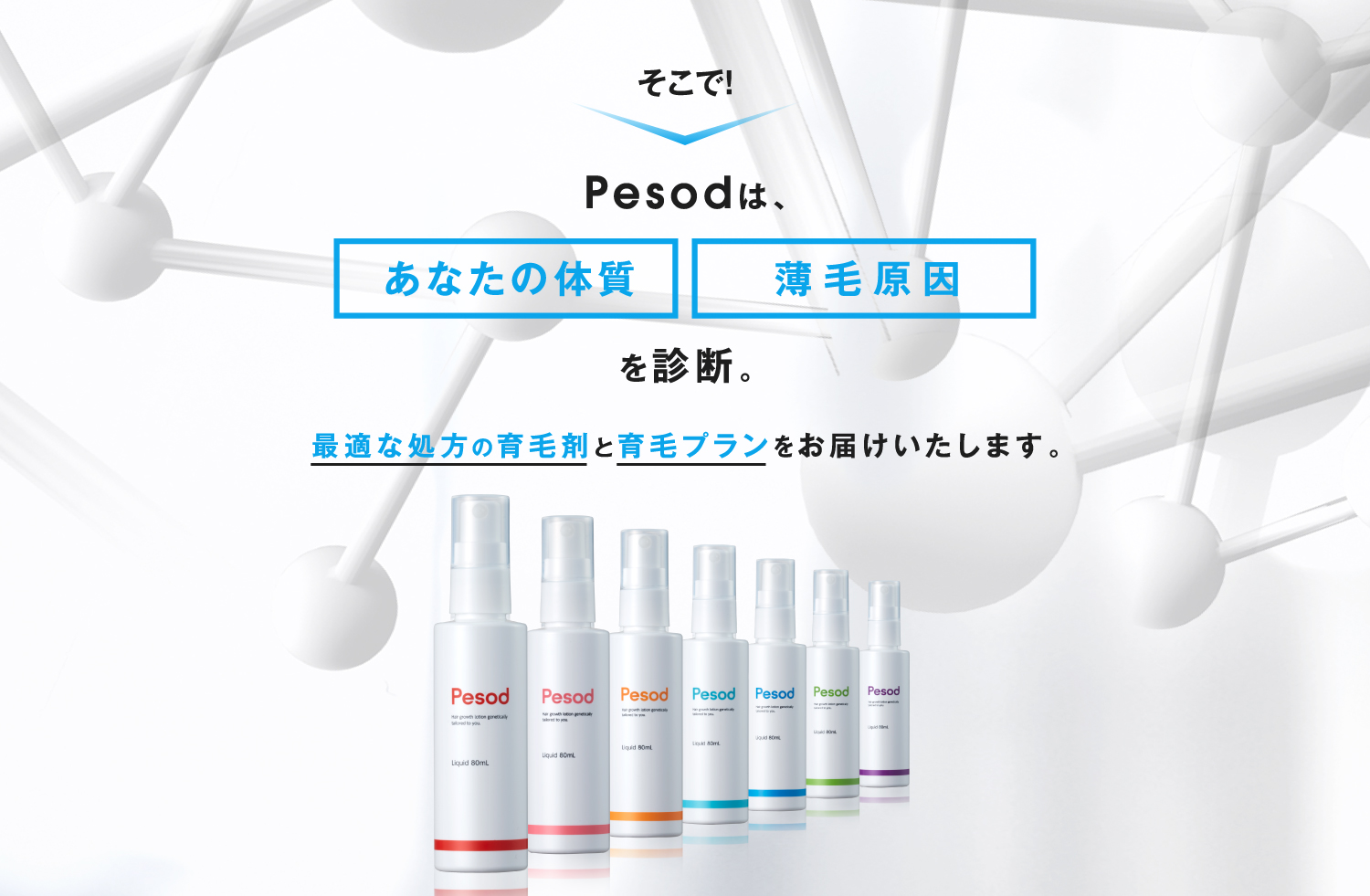 Personaは、あなたの体質+薄毛原因を診断。