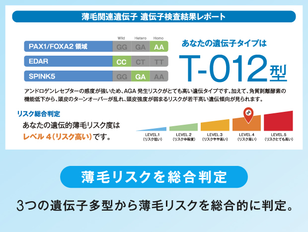 薄毛リスクを総合判定