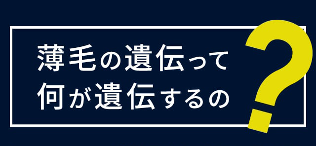 薄毛の遺伝って何が遺伝するの