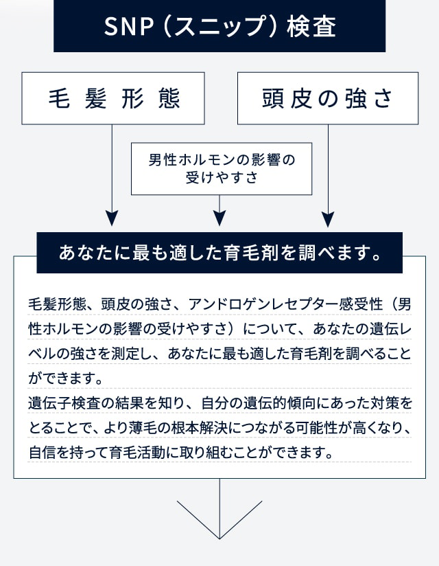 SNP（スニップ）検査　あなたに最も適した育毛剤を調べます。