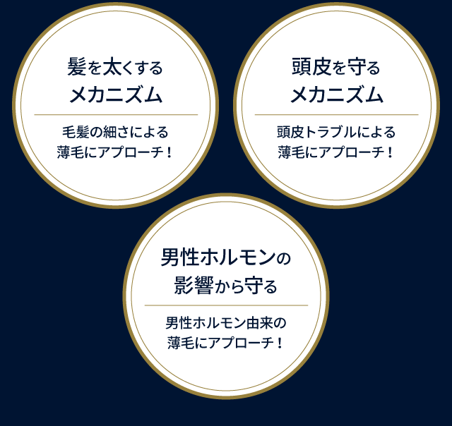 髪を太くするメカニズム　男性ホルモンの影響から守る　頭皮を守るメカニズム