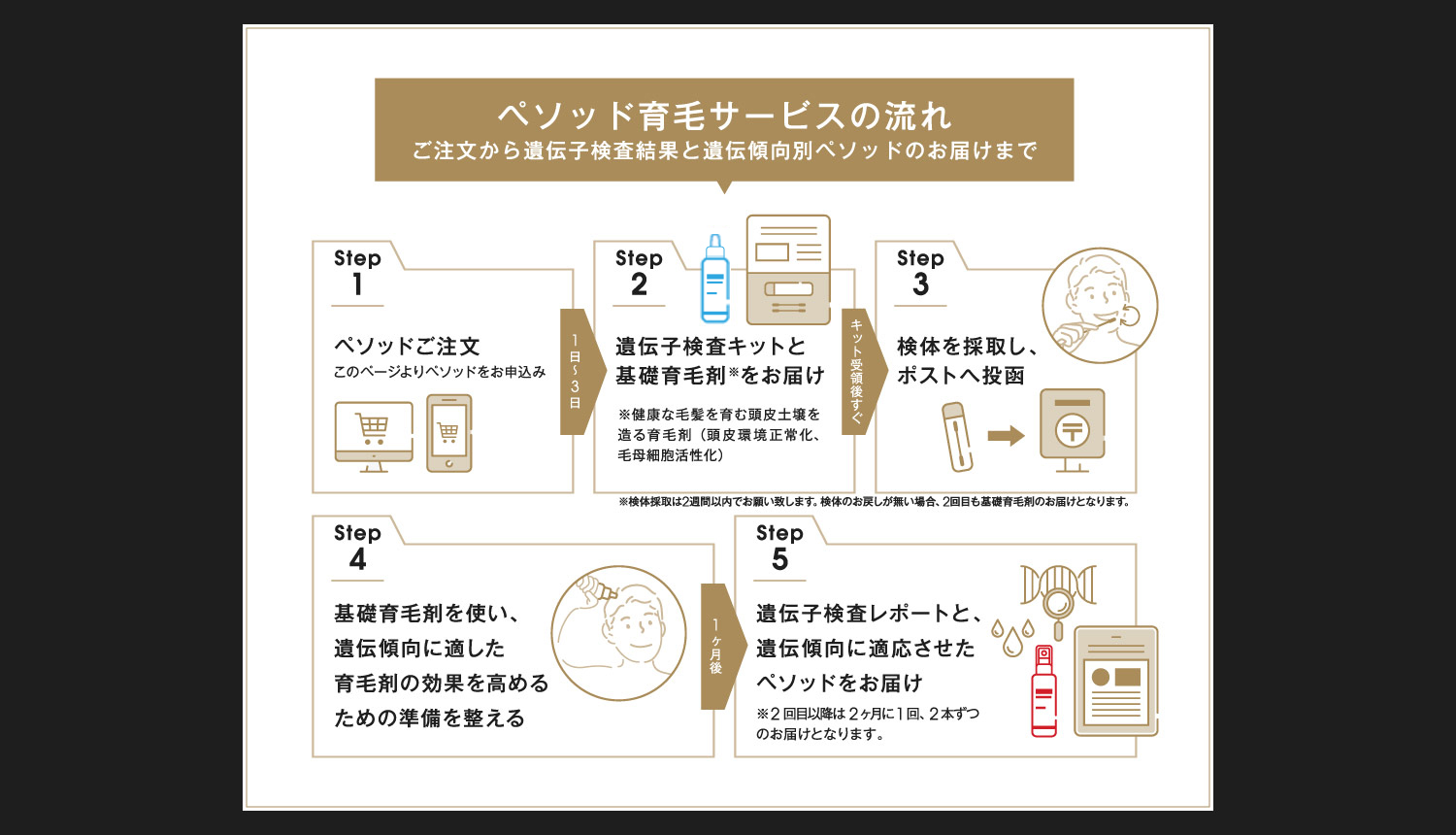 ペソッド育毛サービスの流れ