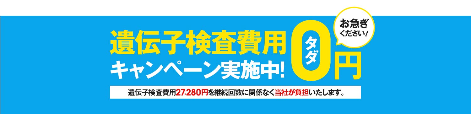 遺伝子検査付き育毛サービス ペルソナ ペルソナ公式通販サイト