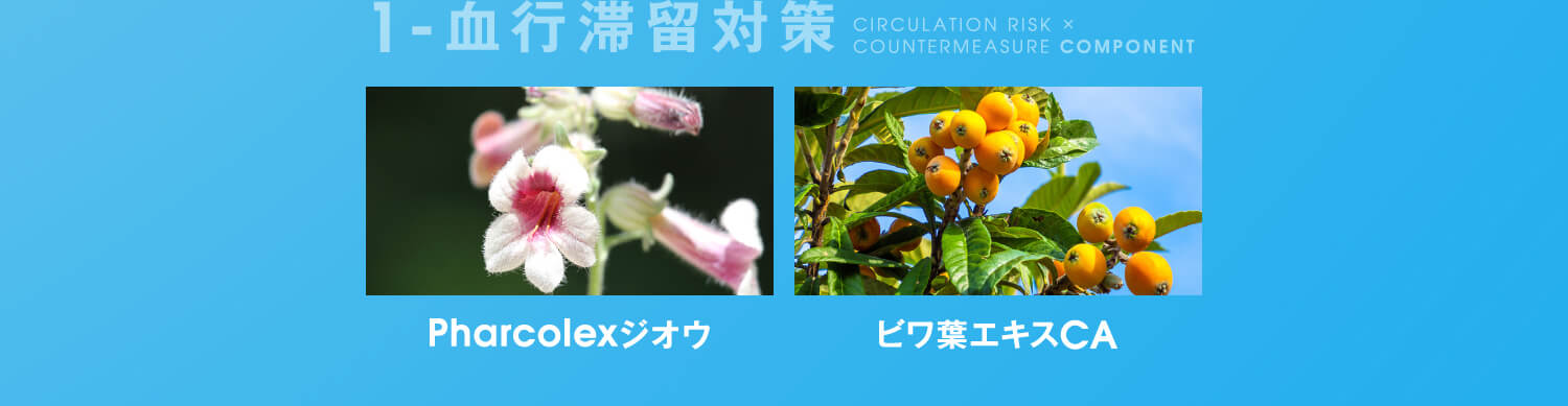 1-血行滞留対策