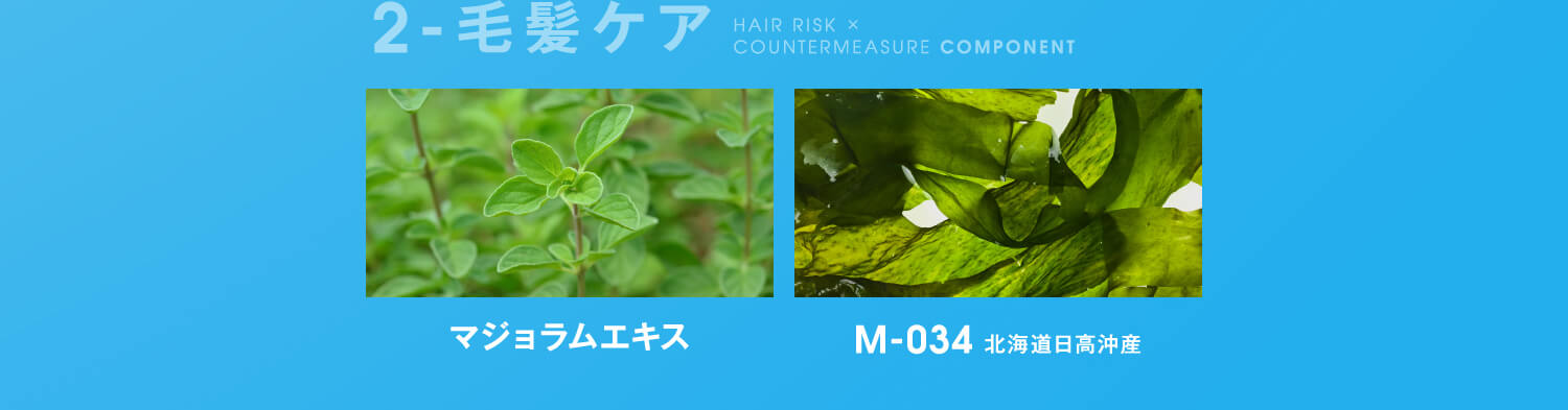 2-毛髪ケア