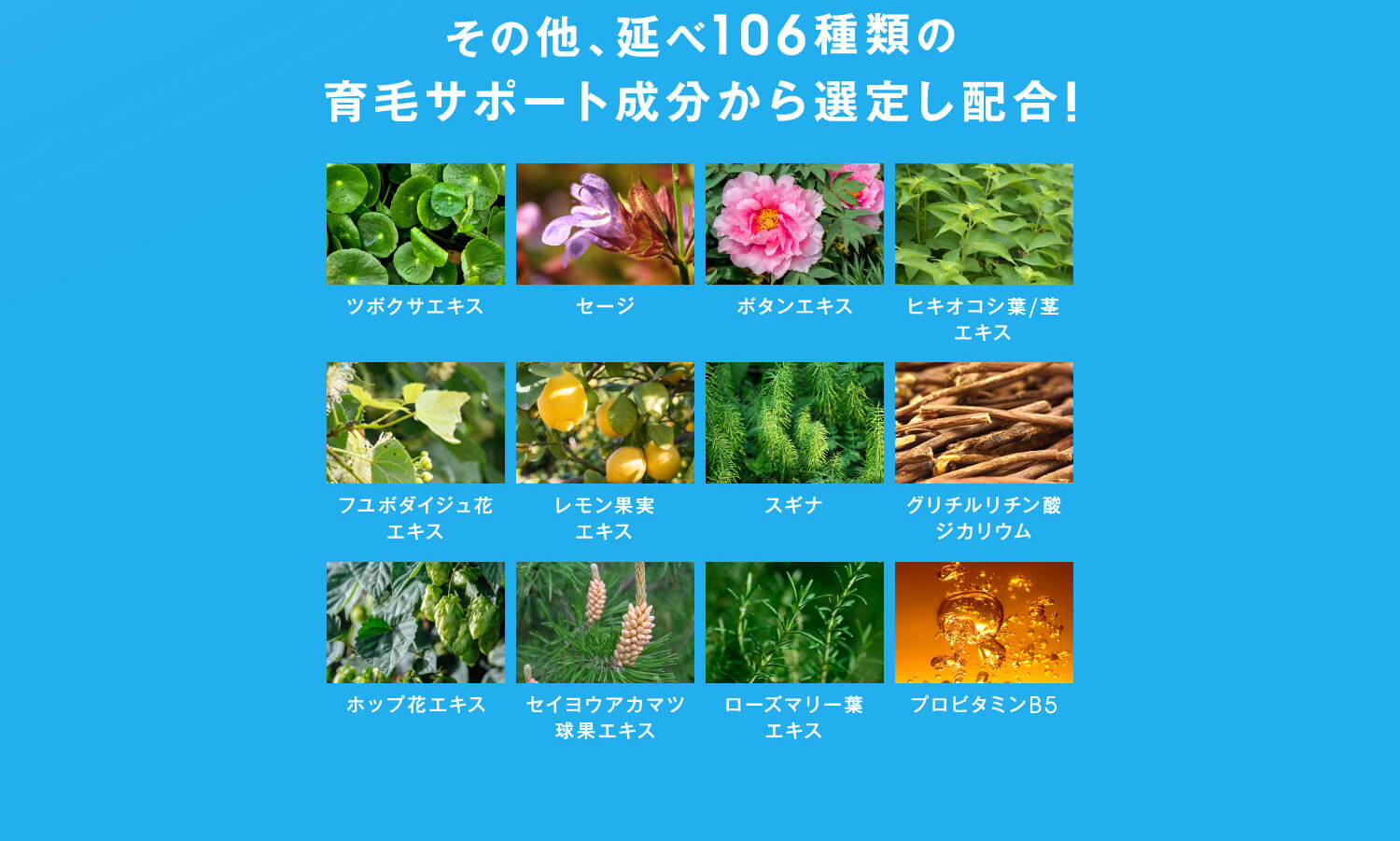 その他、延べ106種類の育毛サポート成分から選定し配合!