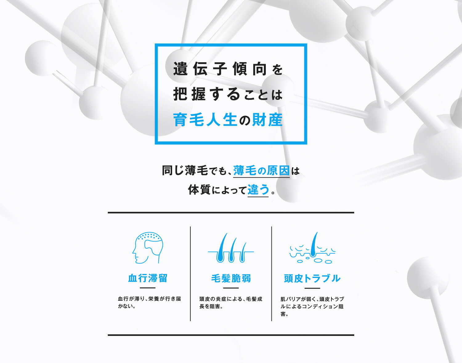 遺伝子傾向を把握することは育毛人生の財産